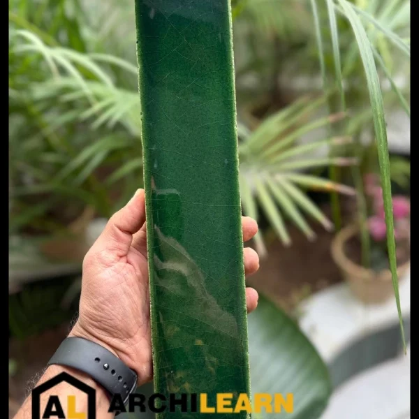 ajorleab17 کاشی سبز سلطنتی